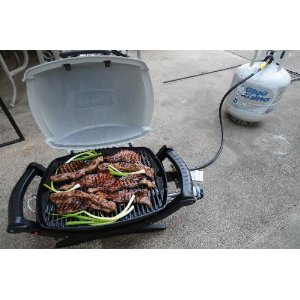 Weber q 100 grill with propane tank and host adaptor